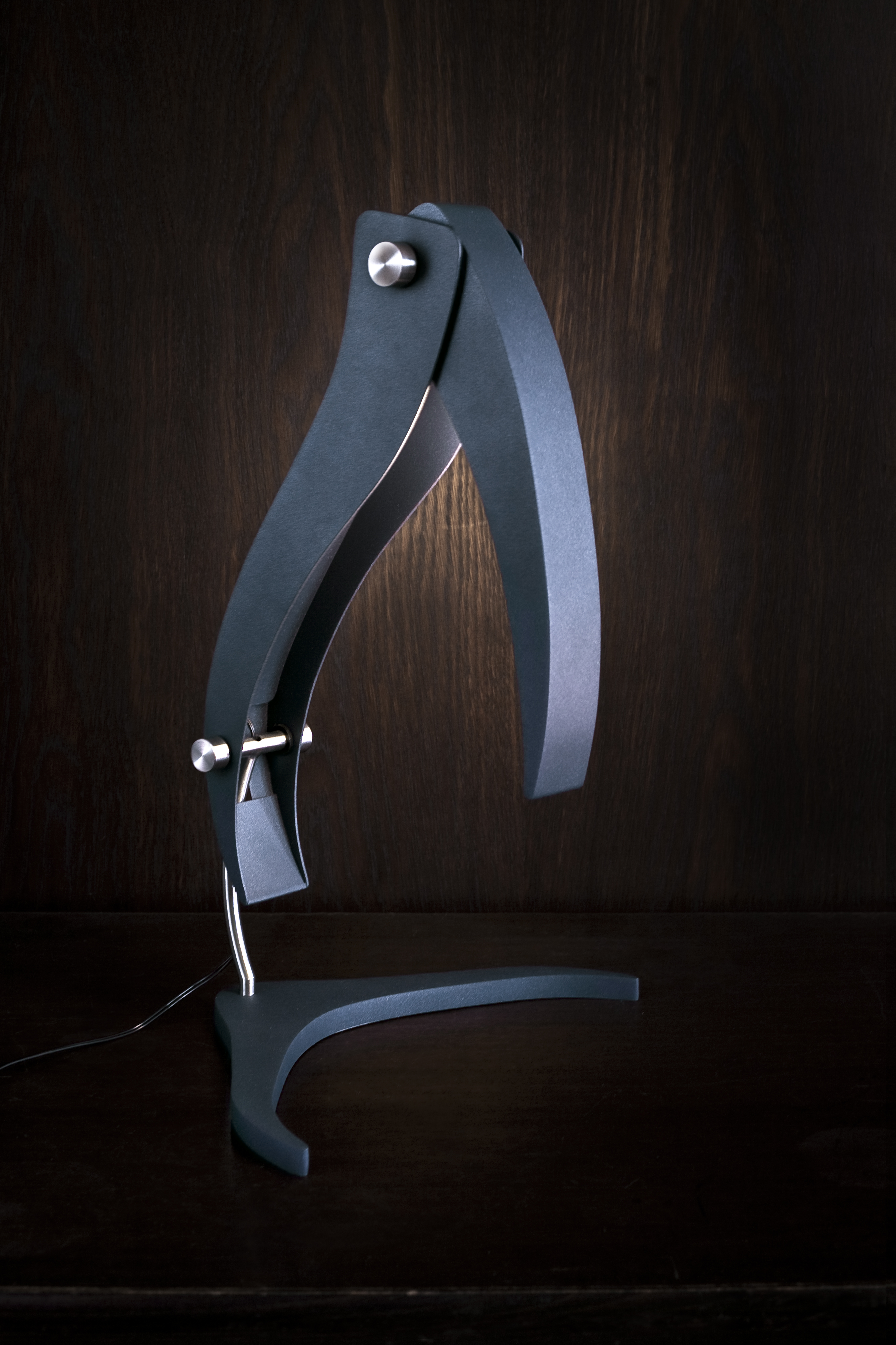 Lampa Big Bird_Design Eliska Dudova_2011_foto Filip Gyore_vyroba Kovo Blecha_02